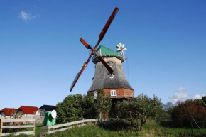 Dutch windmill in Neubukow